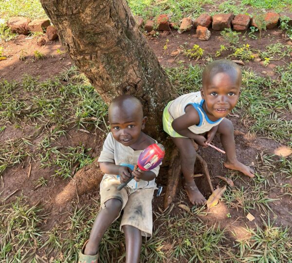 Fruit trees empowerment